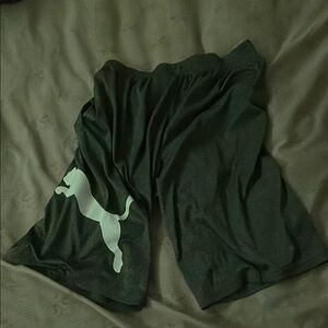 Puma Dark Shorts with White Logo